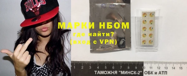 шишки Алзамай