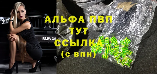 шишки Алзамай