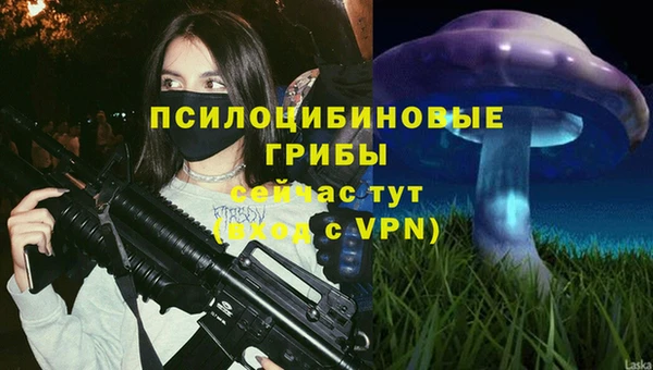 шишки Алзамай