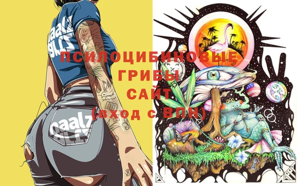 герыч Абинск