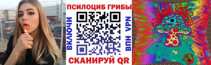 MEGA как зайти  Полярные Зори  сайты даркнета официальный сайт  Галлюциногенные грибы прущие грибы 