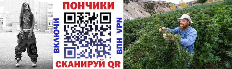 Канабис VHQ  что такое наркотик  OMG как зайти  Полярные Зори 